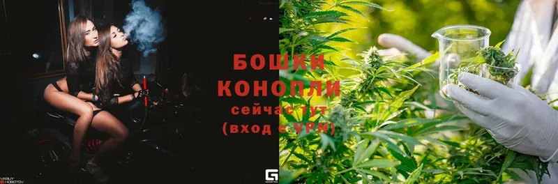 Шишки марихуана Ganja  Заринск 